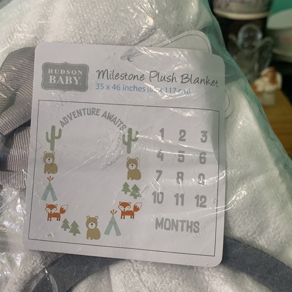 New in package Adventure Awaits them Hudson Baby Milestone Plush Blanket - Picture 2 of 4